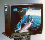 Hantarex CRT Monitors And Repairs